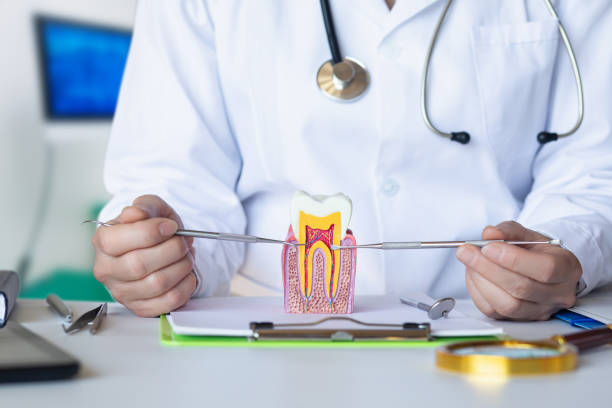 Best Urgent Dental Care for Toothache in Alburtis, PA